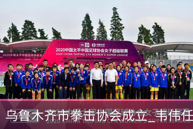 乌鲁木齐市拳击协会成立 韦伟任会长